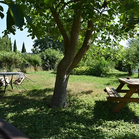 Mobil-home Sur Terrain Bucolique